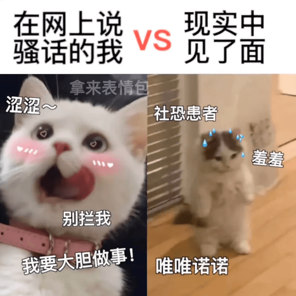 在网上说现实中VS骚话的我见了面拿来表情包涩涩社恐患者羞羞别