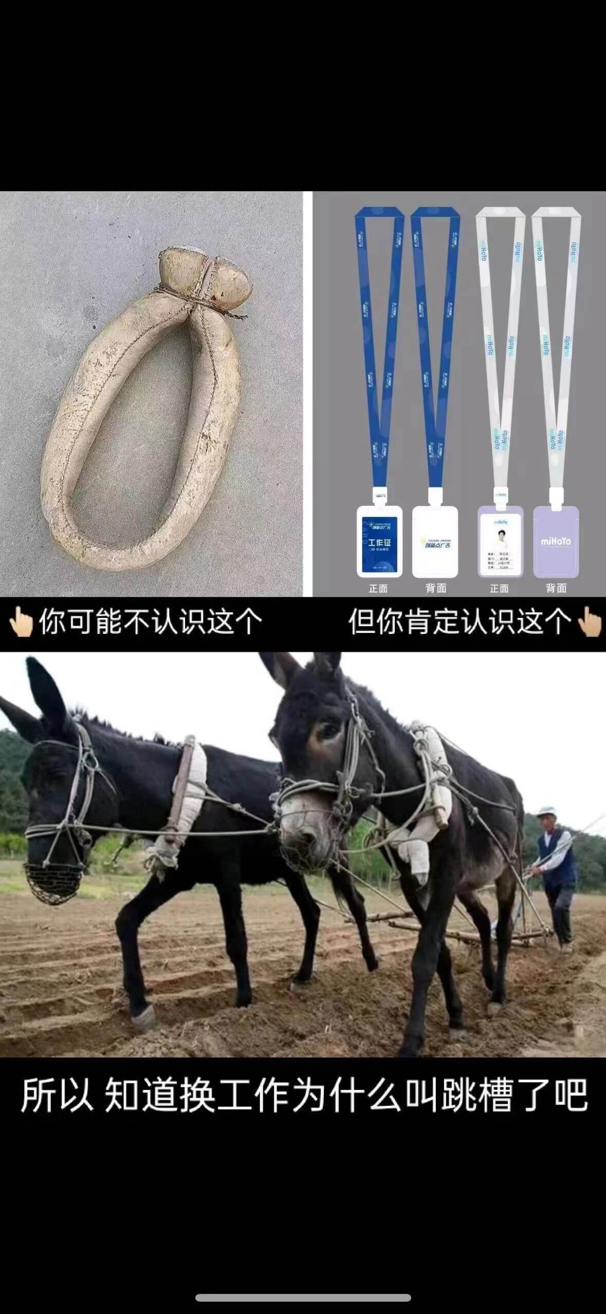 UHoYo背面正面你可能不认识这个但你肯定认识这个所以知道换