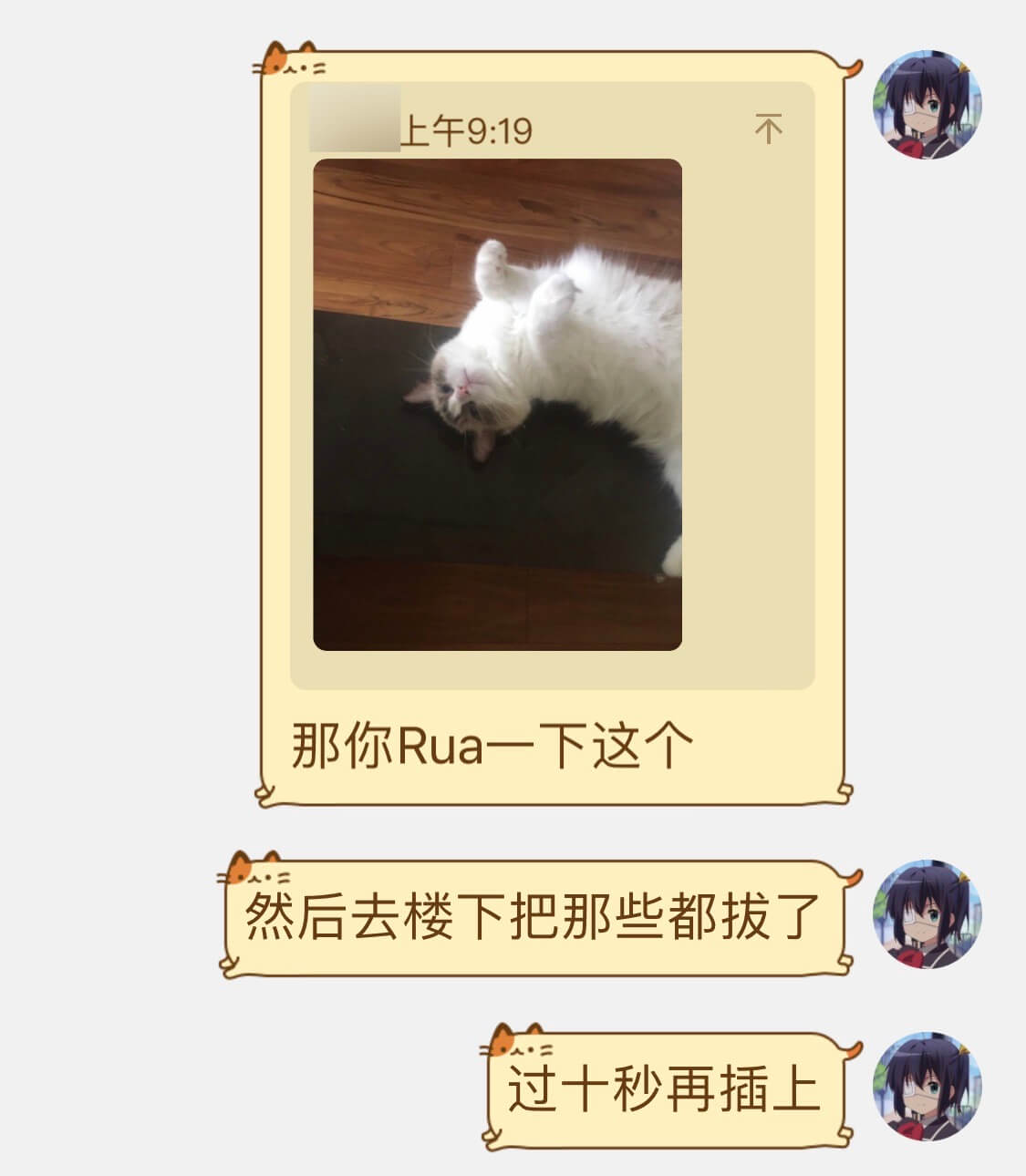 上午9:19不那你Rua一下这个然后去楼下把那些都拔了过十秒