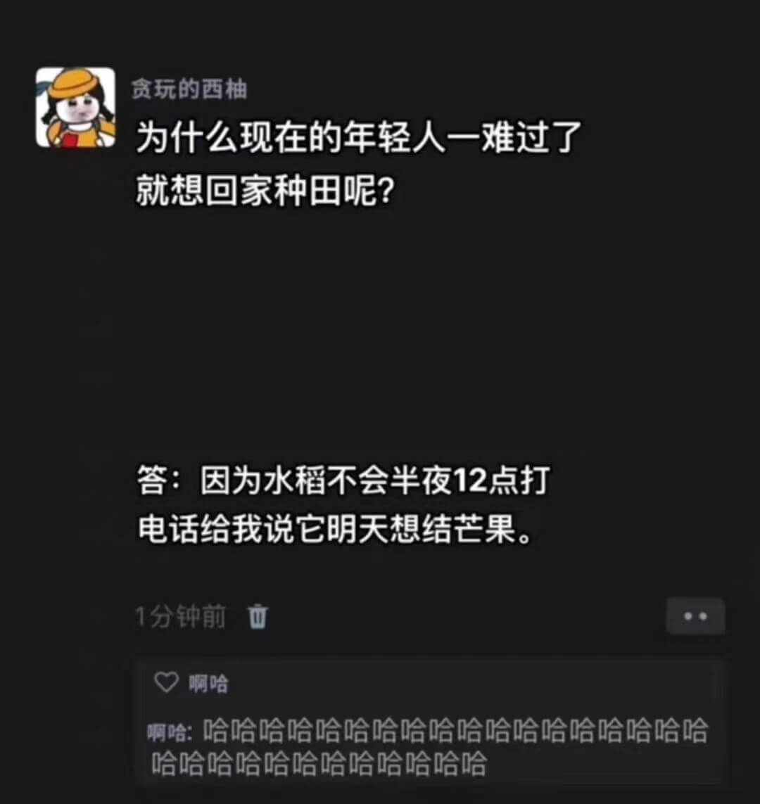 贪玩的西柚为什么现在的年轻人一难过了就想回家种田呢？答：因为