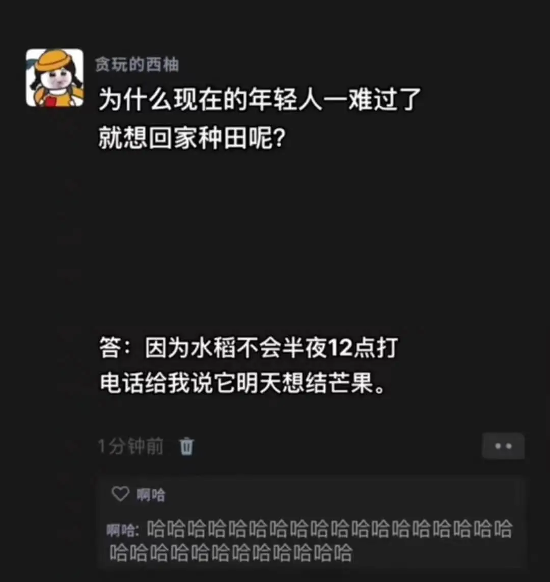 贪玩的西柚为什么现在的年轻人一难过了就想回家种田呢？答：因为