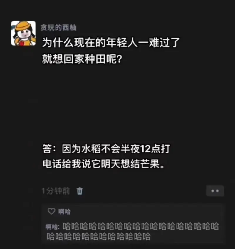 贪玩的西柚为什么现在的年轻人一难过了就想回家种田呢？答：因为