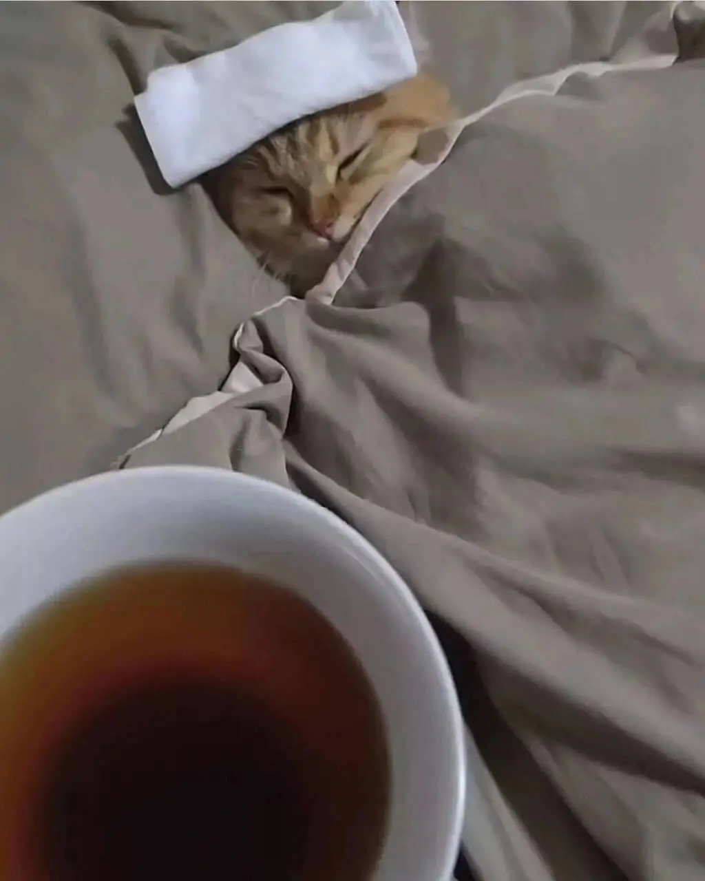 命运的齿轮一点没转，