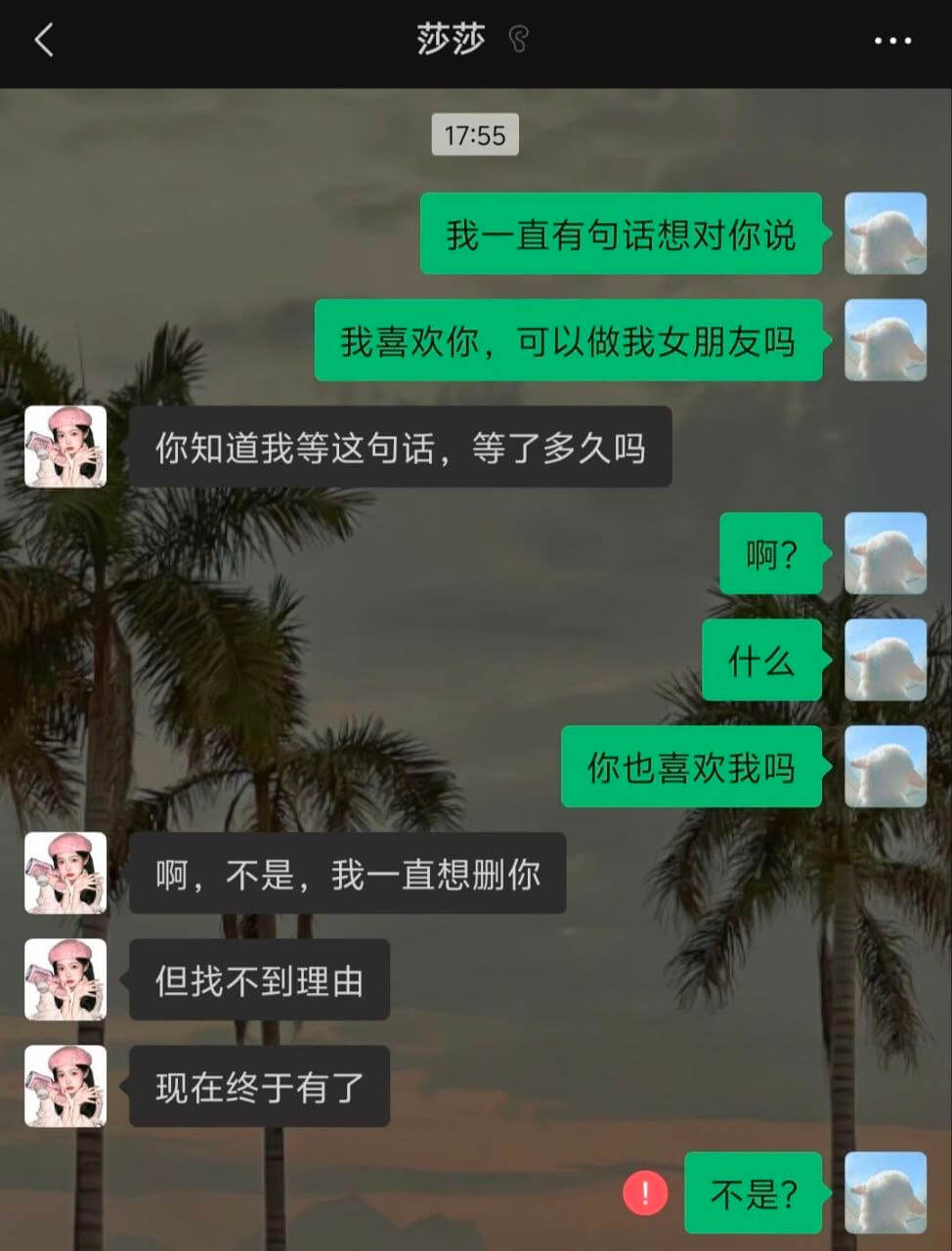 莎莎S17:55我一直有句话想对你说我喜欢你，可以做我女朋友