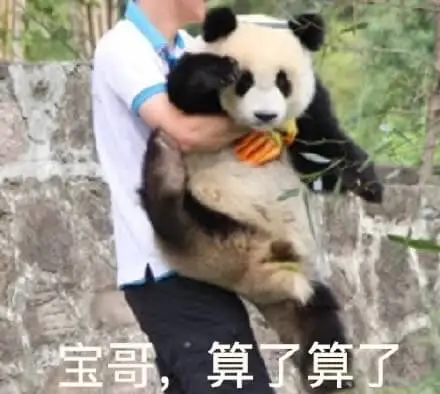 宝哥，算了算了