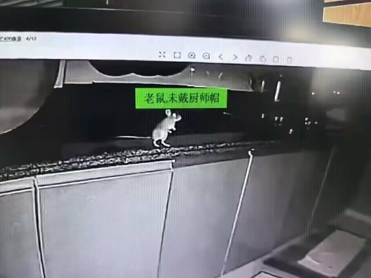 老鼠未戴厨师帽