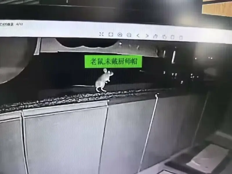 老鼠未戴厨师帽