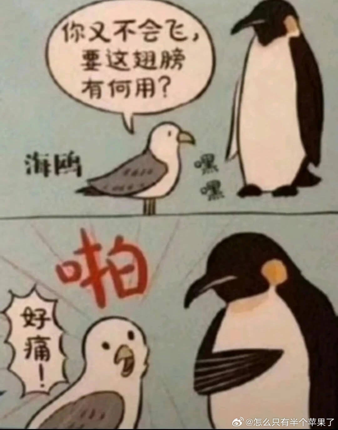你又不会飞要这翅膀有何用？海鸥啪好痛@怎么只有半个苹果了