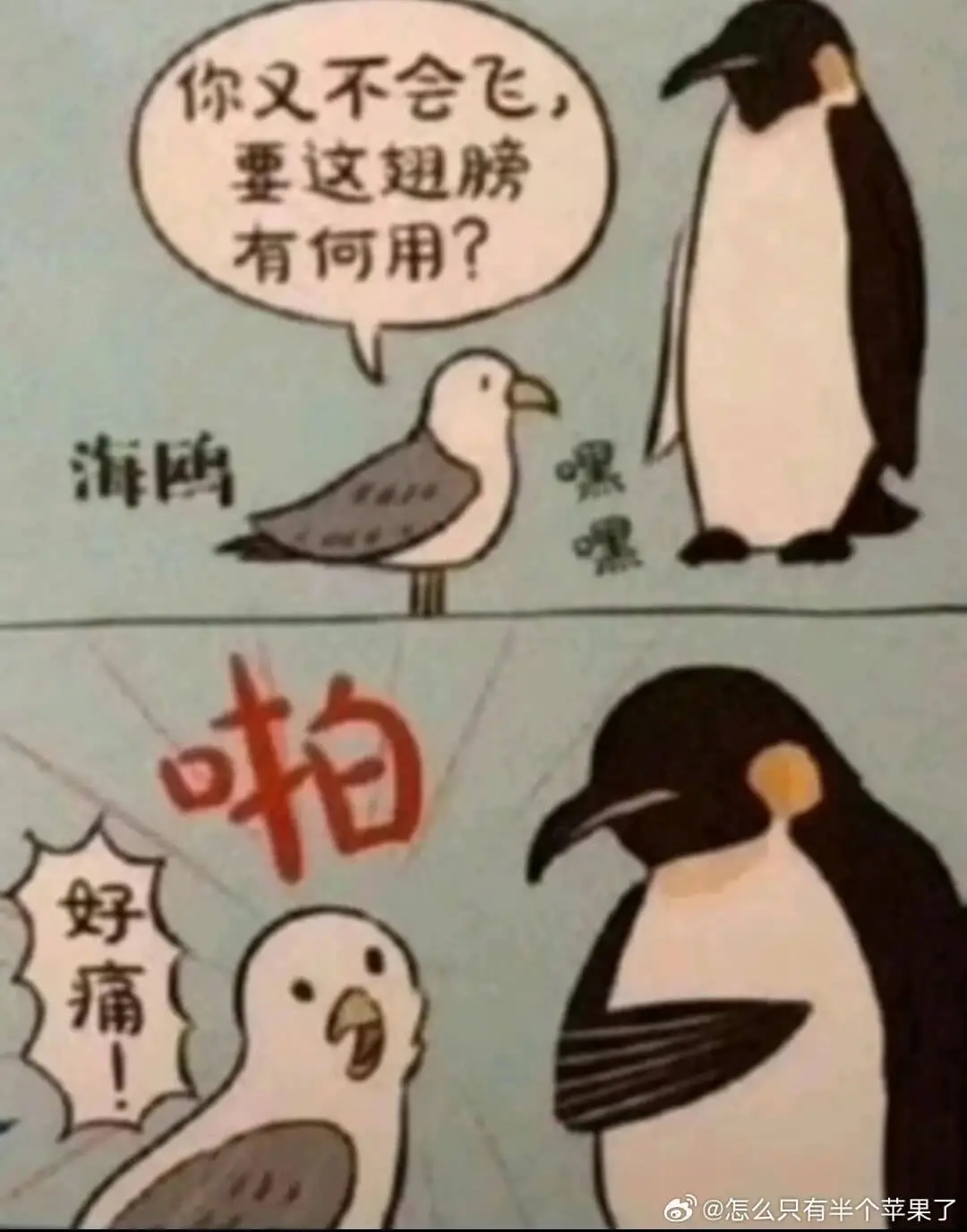 你又不会飞要这翅膀有何用？海鸥啪好痛@怎么只有半个苹果了