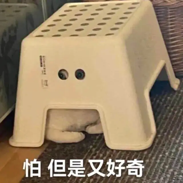 怕但是又好奇