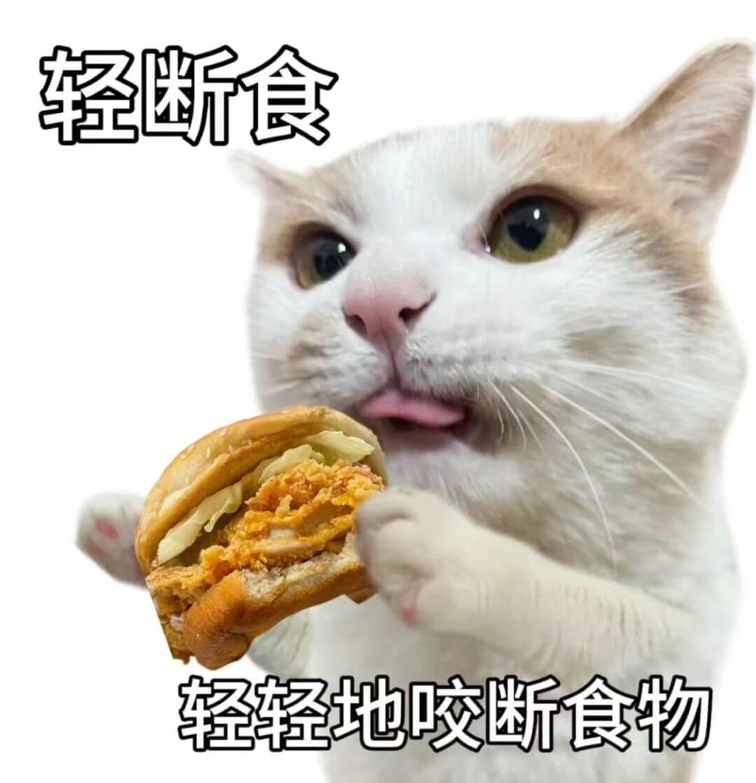 轻断食轻轻地咬断食物