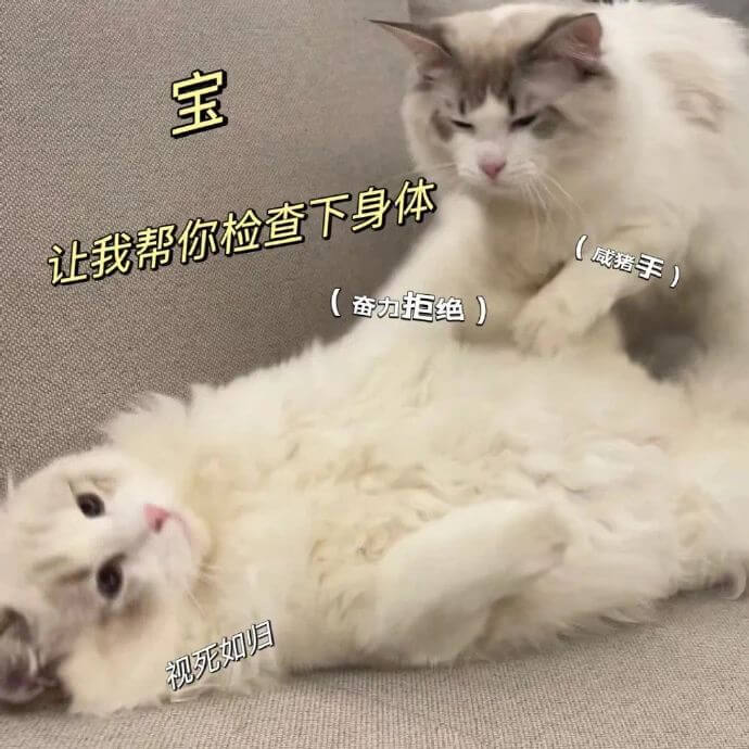 宝让我帮你检查下身体（咸猪手）（奋力拒绝）视死如归