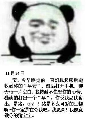11月24日宝，今早睡觉前一直幻想起床后能收到你的“早安”，