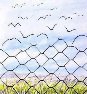 梗图