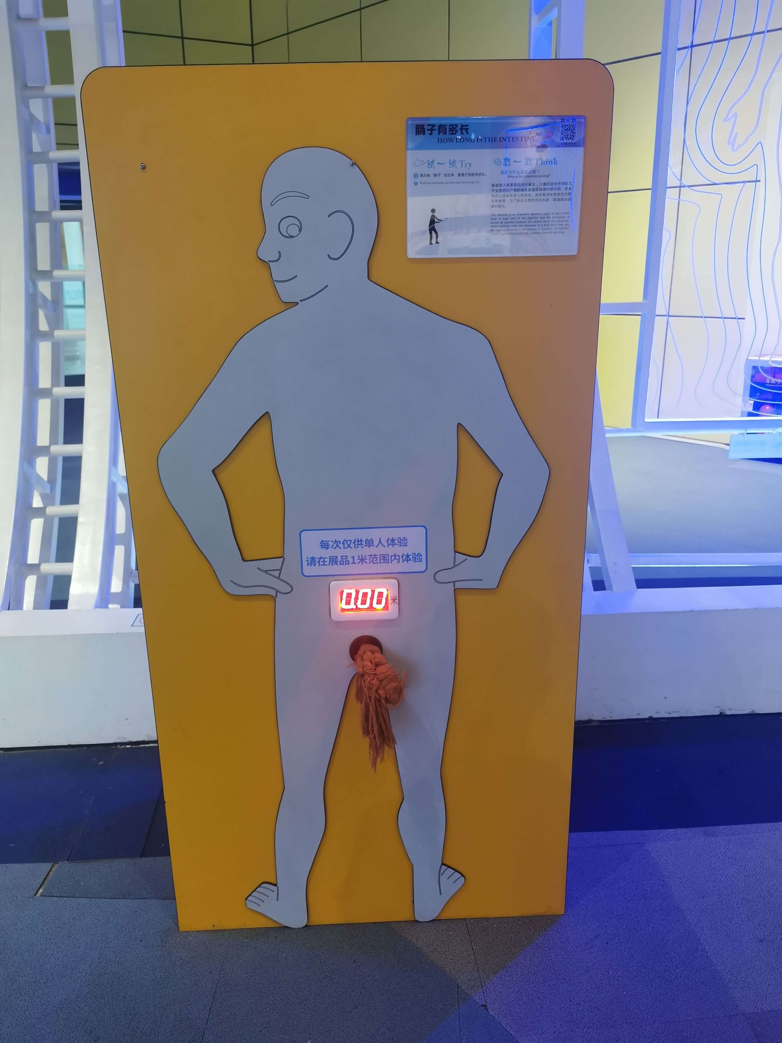 肠子有多长试一试Try每次仅供单人体验请在展品1米范围内体验