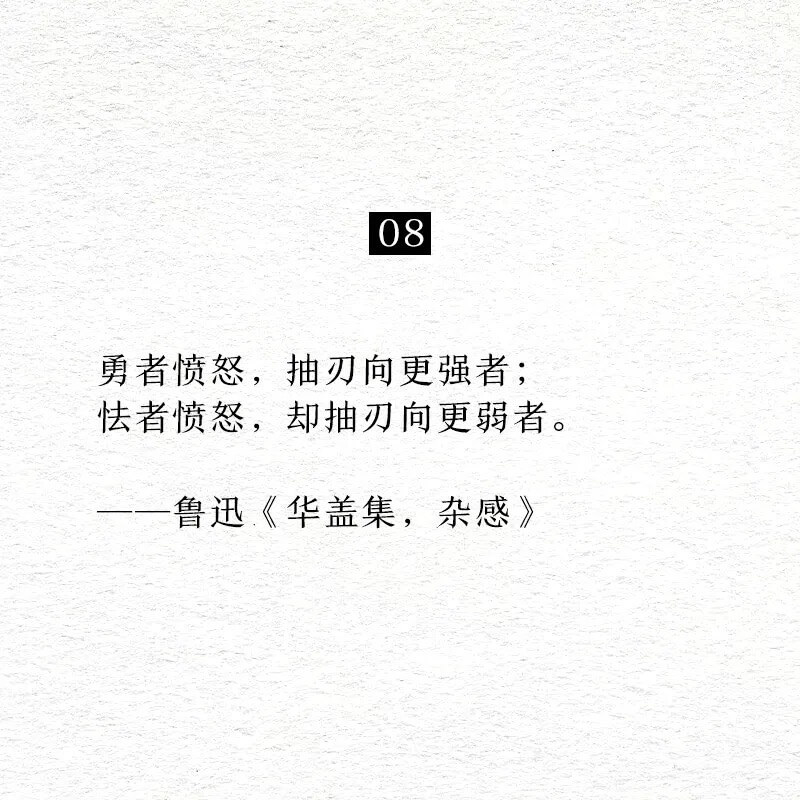 08勇者愤怒，抽刃向更强者；者愤怒，却抽刃向更弱者。鲁迅《华