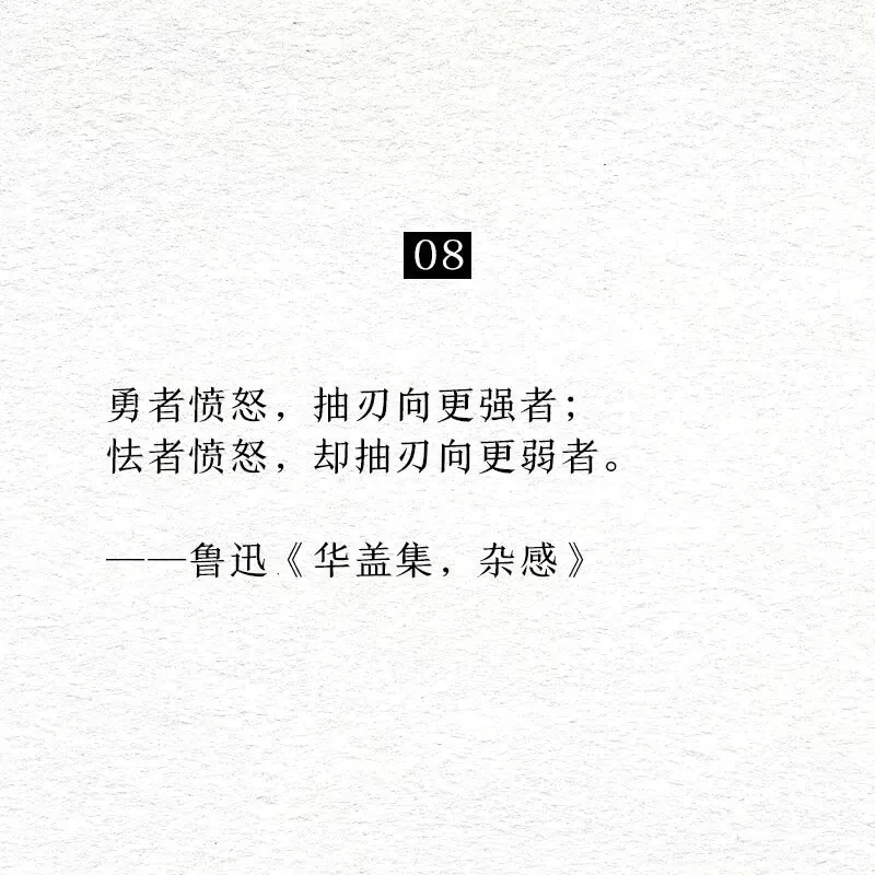 08勇者愤怒，抽刃向更强者；者愤怒，却抽刃向更弱者。鲁迅《华