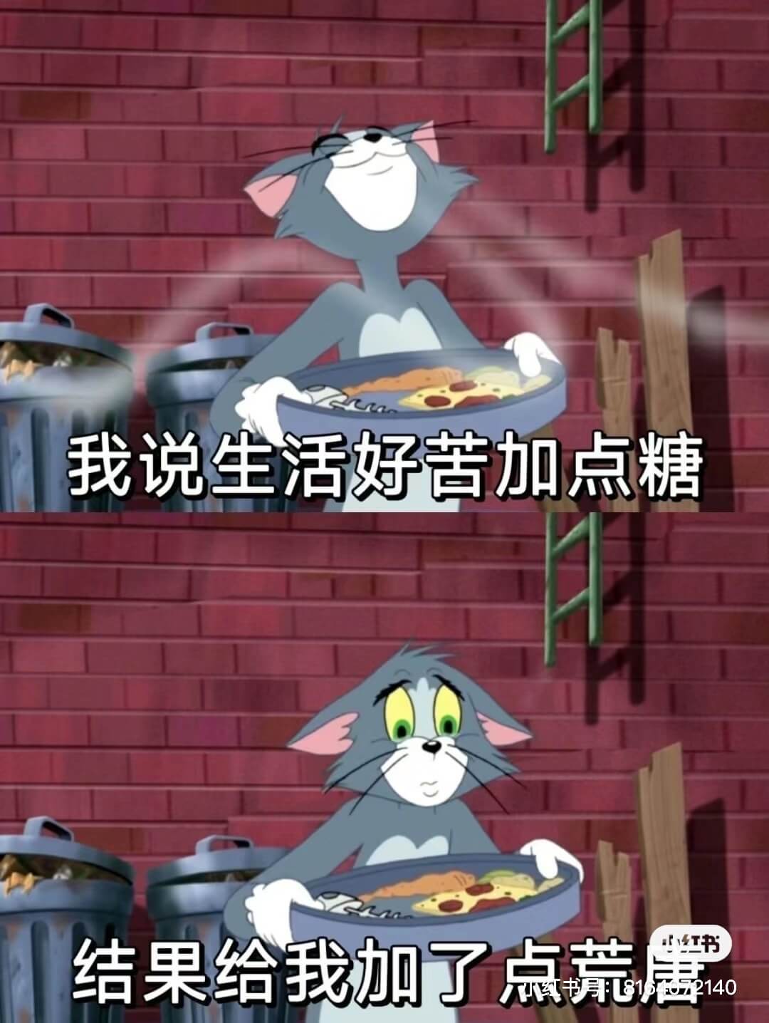 我说生活好苦加点糖红书结果给我加了点荒2140
