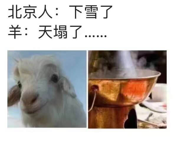 北京人：下雪了羊天塌了………