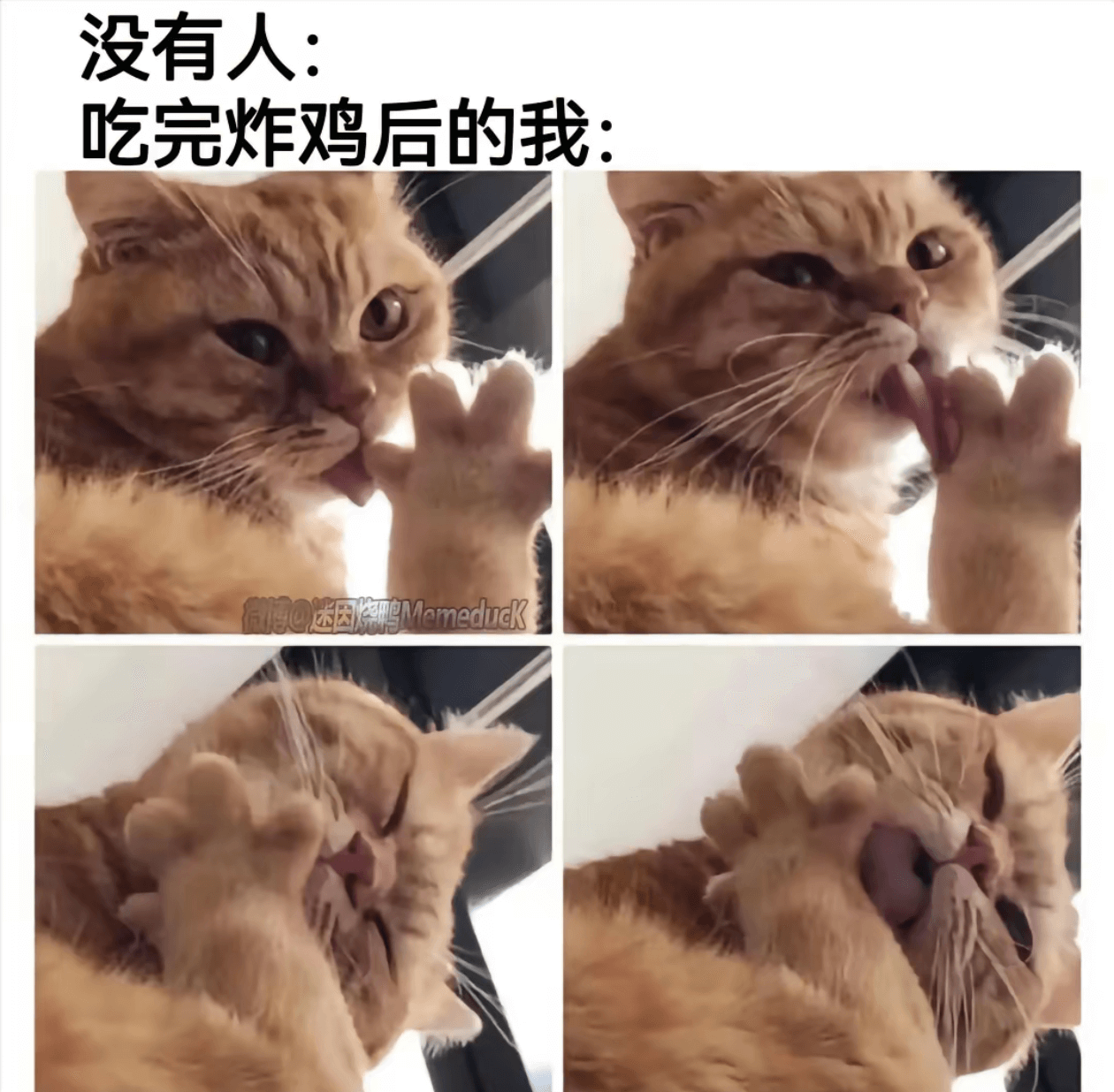 没有人：吃完炸鸡后的我：迷因烧鸭MemeducK