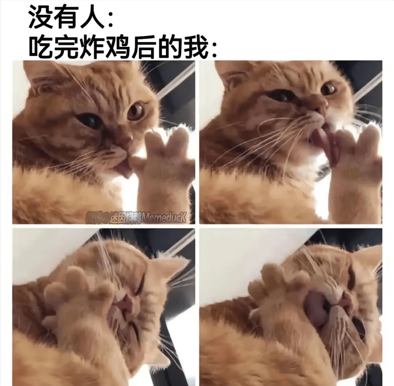 没有人：吃完炸鸡后的我：迷因烧鸭MemeducK