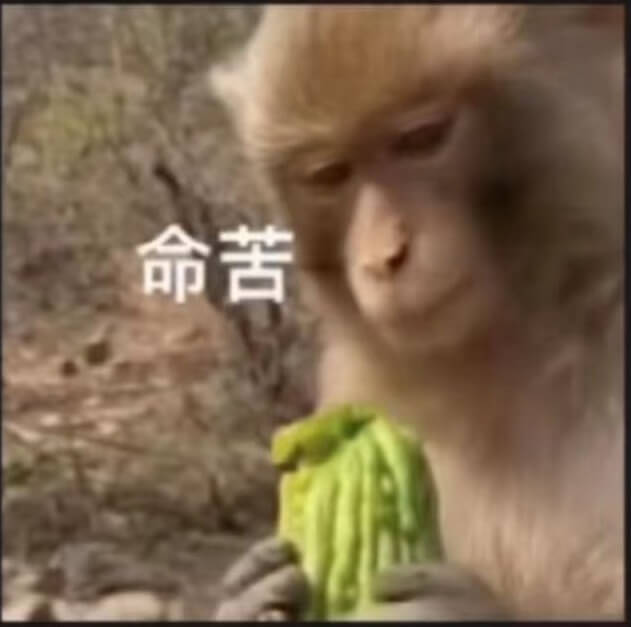 命苦