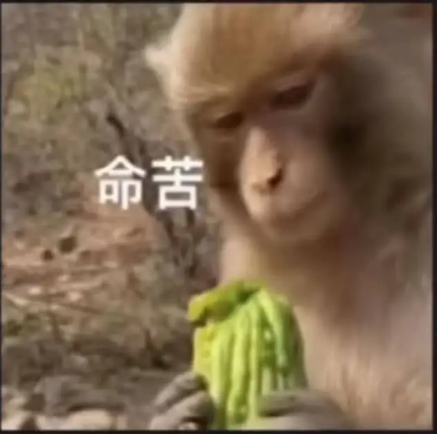 命苦