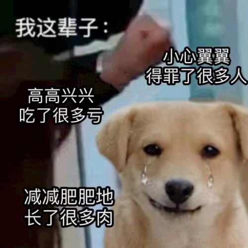 我这辈子：小心翼翼得罪了很多人高高兴兴吃了很多亏减减肥肥地长