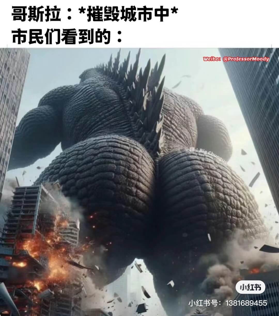 哥斯拉：*摧毁城市中*市民们看到的：weibo:@profe