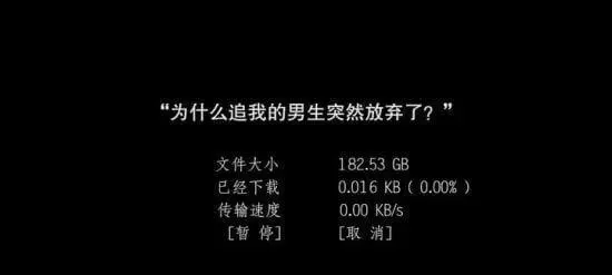 “为什么追我的男生突然放弃了？”文件大小182.53GB已经