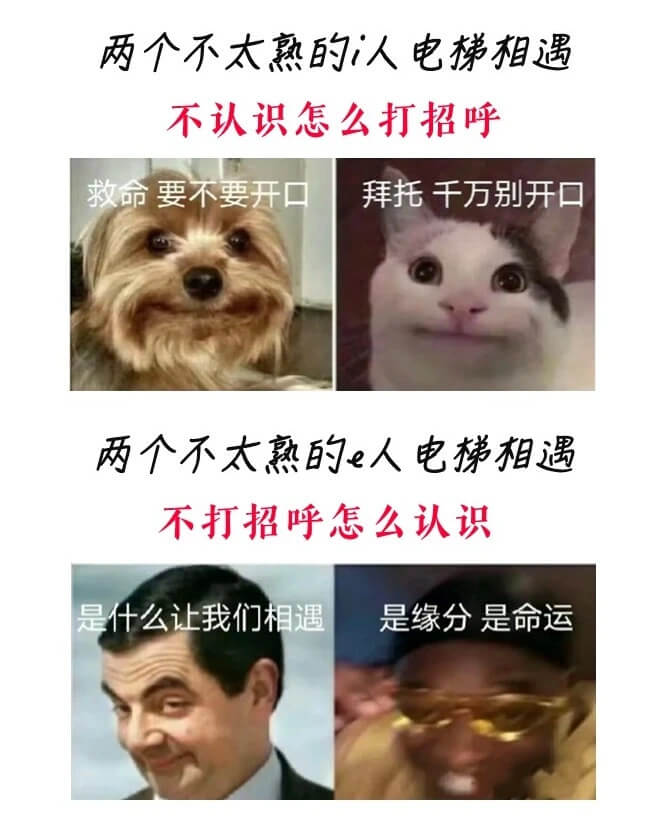 两个不太熟的人电梯相遇不认识怎么打招呼救命要不要开口拜托千万