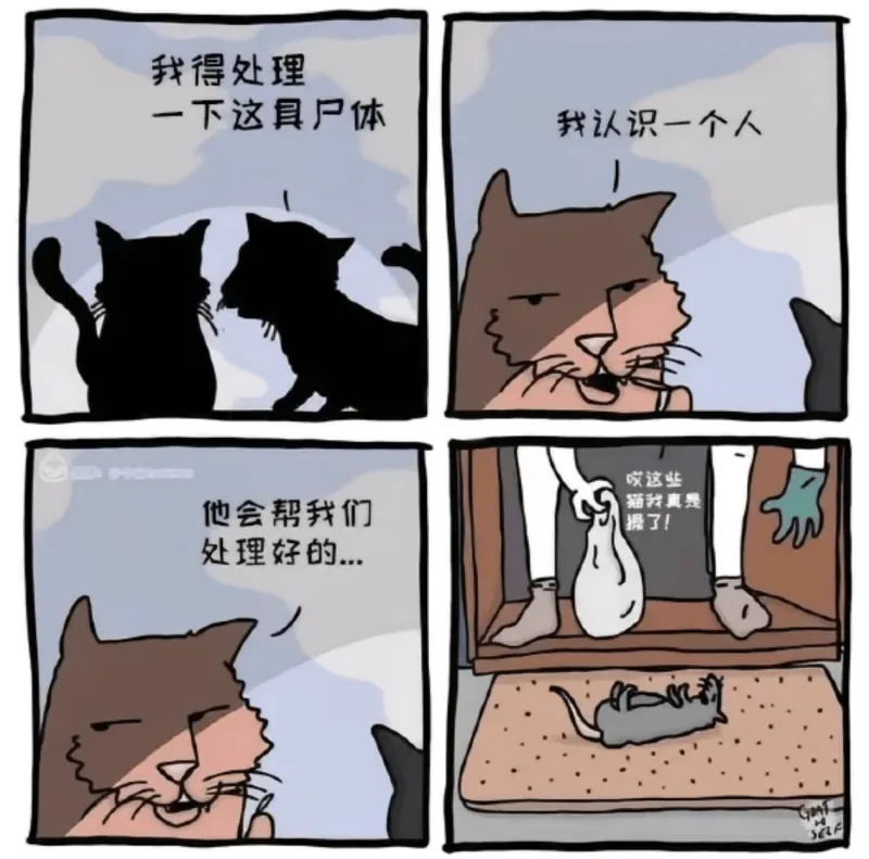 我得处理一下这具户体。我认识一个人，哎这些猫我真是，他会帮我