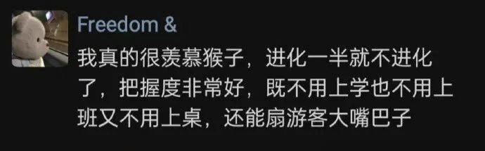 Freedom&我真的很羡慕猴子，进化半就不进化了，把握度非