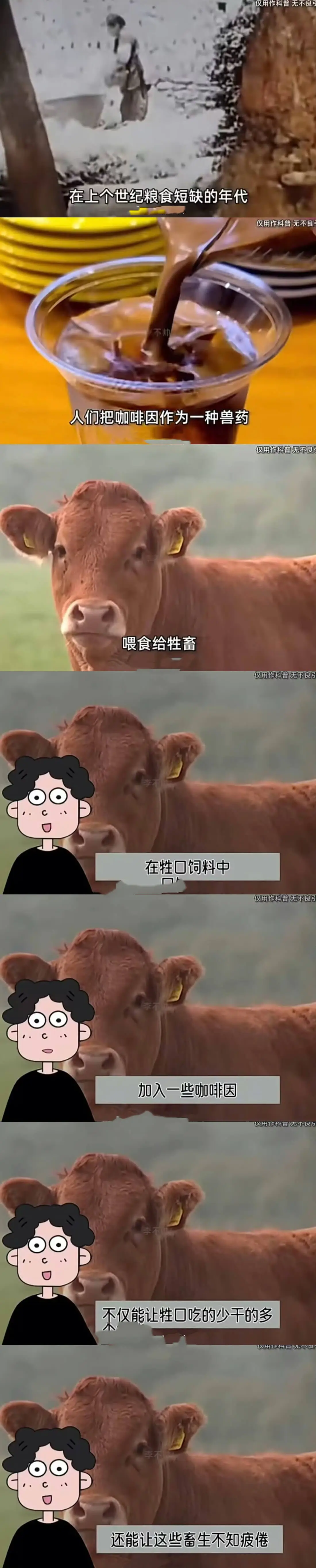 仅用作科普无不良在上个世纪粮食短缺的年代仅用作科普无不良不帅