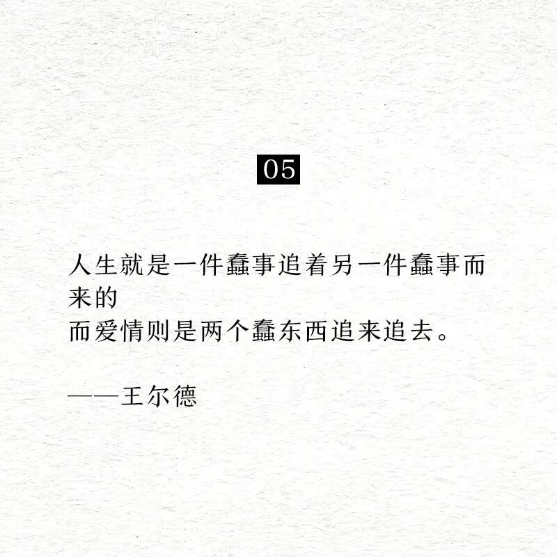 05人生就是一件蠢事追着另一件蠢事而来的，而爱情则是两个蠢东