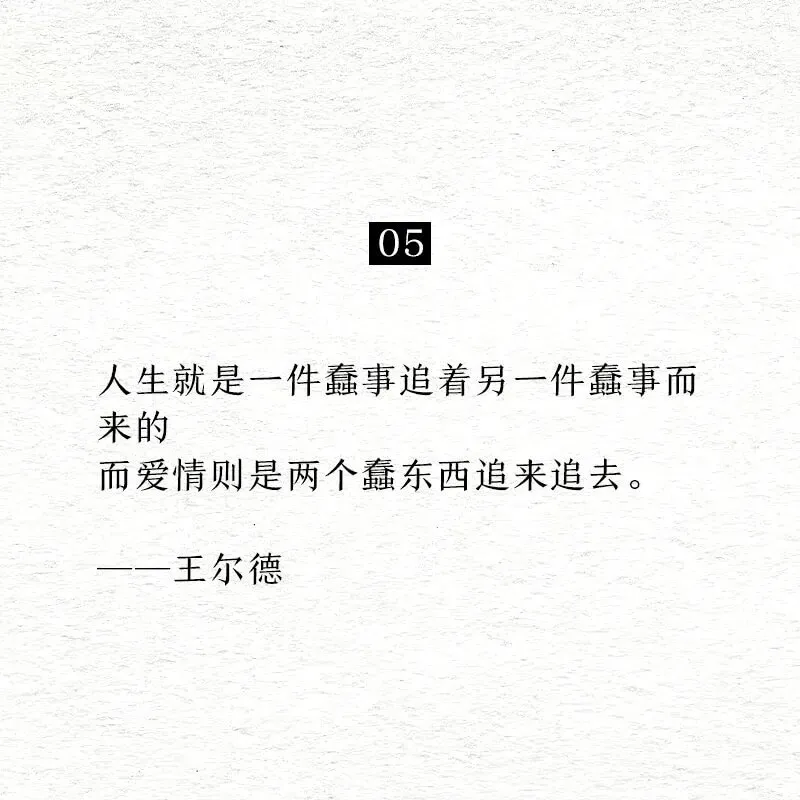 05人生就是一件蠢事追着另一件蠢事而来的，而爱情则是两个蠢东
