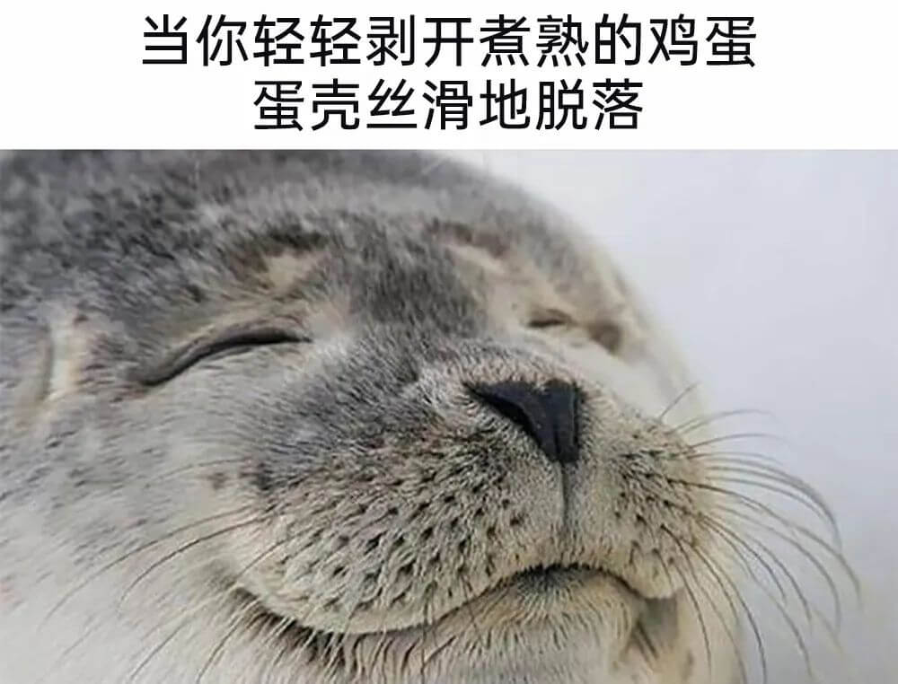 当你轻轻剥开煮熟的鸡蛋蛋壳丝滑地脱落