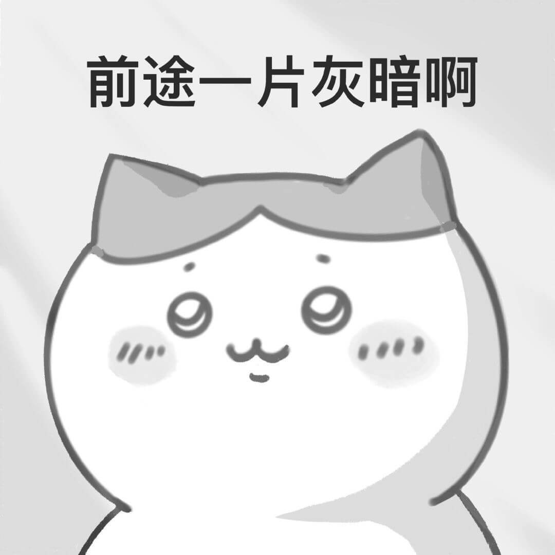 前途一片灰暗啊