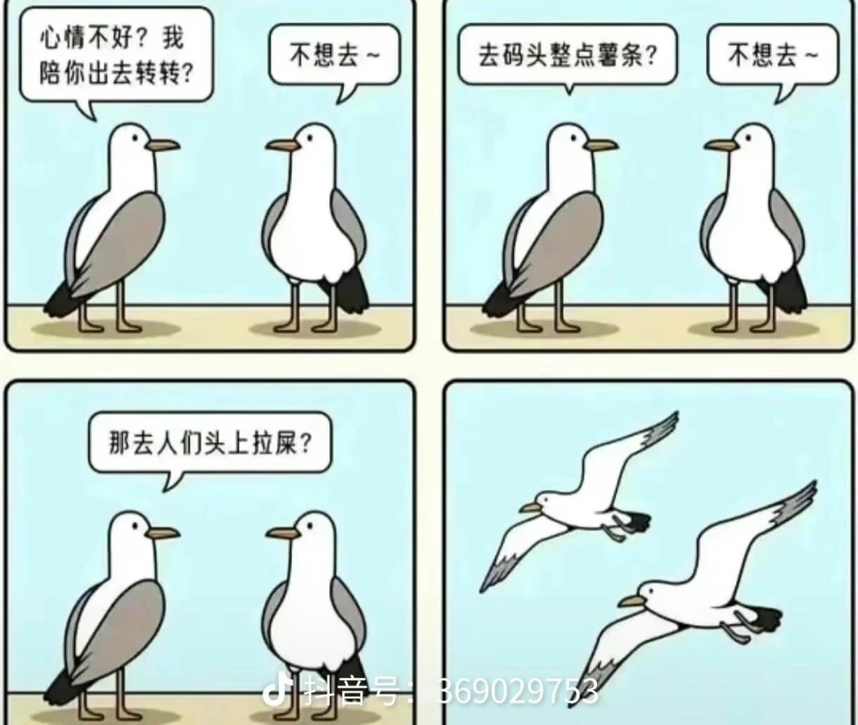 心情不好？我不想去去码头整点薯条？不想去陪你出去转转？那去人