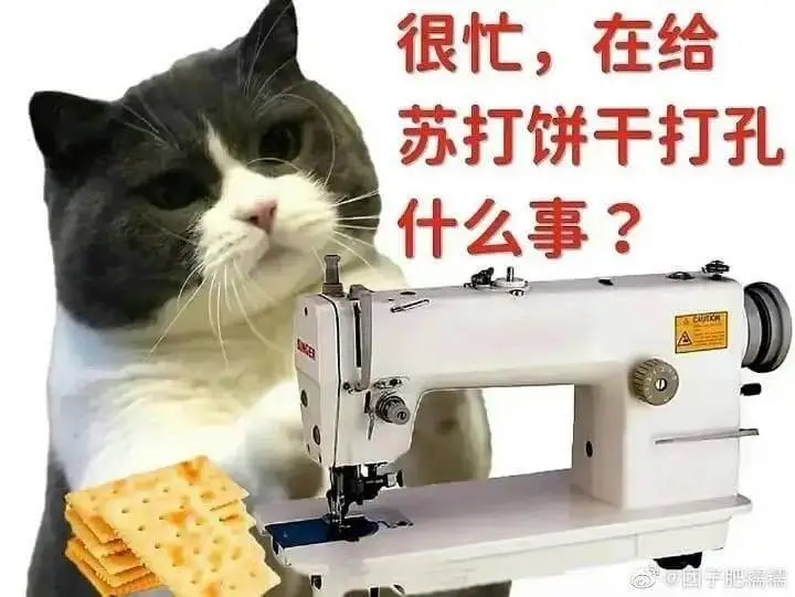 很忙，在给苏打饼干打孔什么事？宇膳瑞