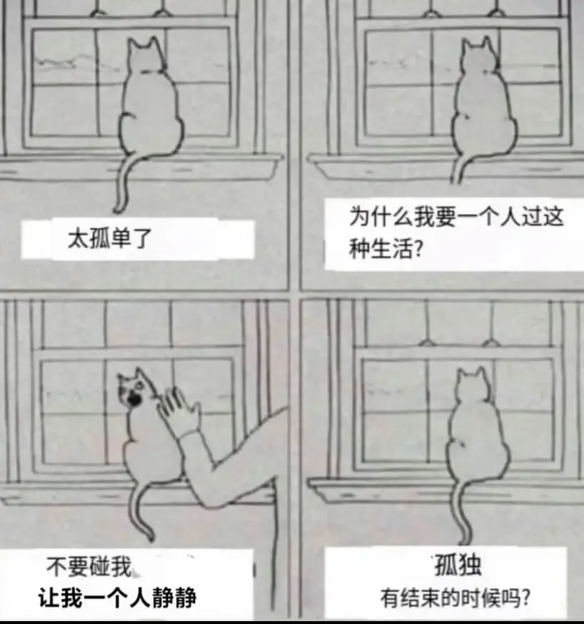 为什么我要一个人过这太孤单了种生活？不要碰我孤独让我一个人静