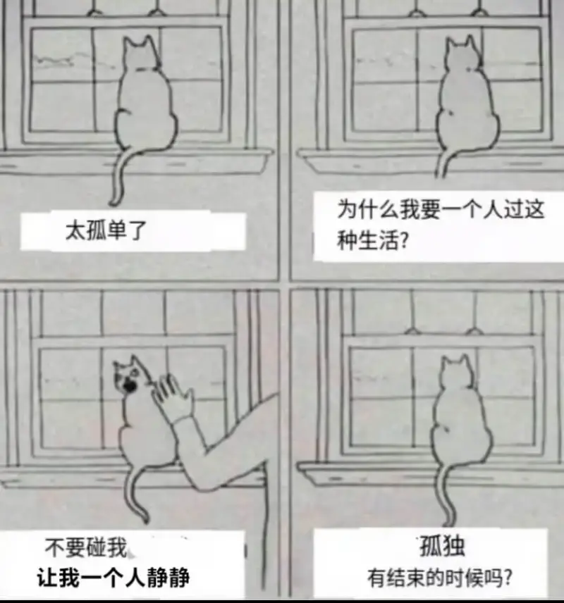 为什么我要一个人过这太孤单了种生活？不要碰我孤独让我一个人静