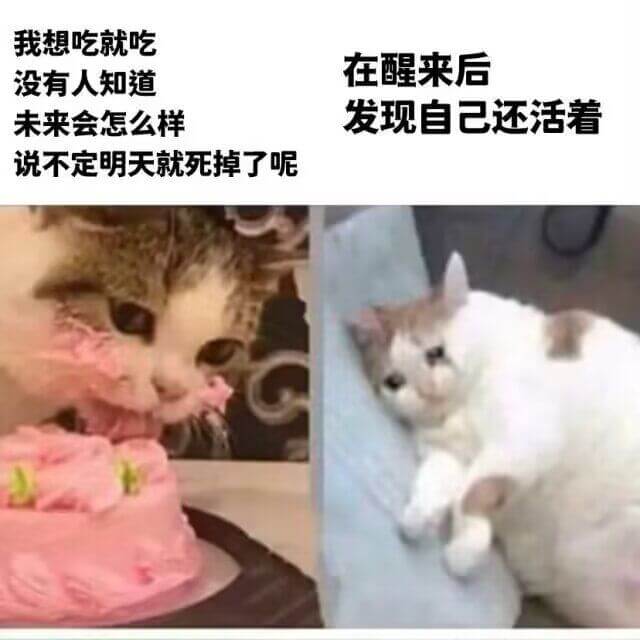 我想吃就吃在醒来后没有人知道未来会怎么样发现自己还活着说不定