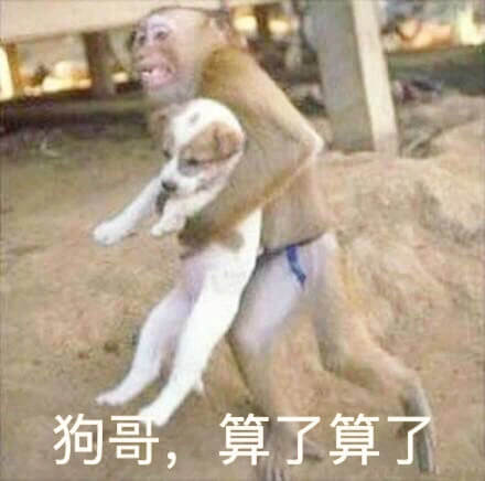 狗哥，算了算了