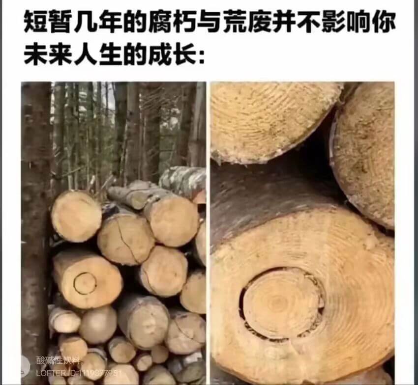 短暂几年的腐朽与荒废并不影响你未来人生的成长：