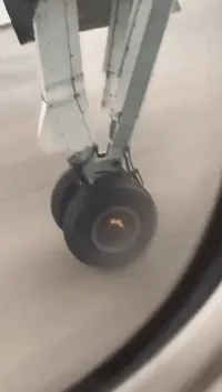 还有机会下去不？😱