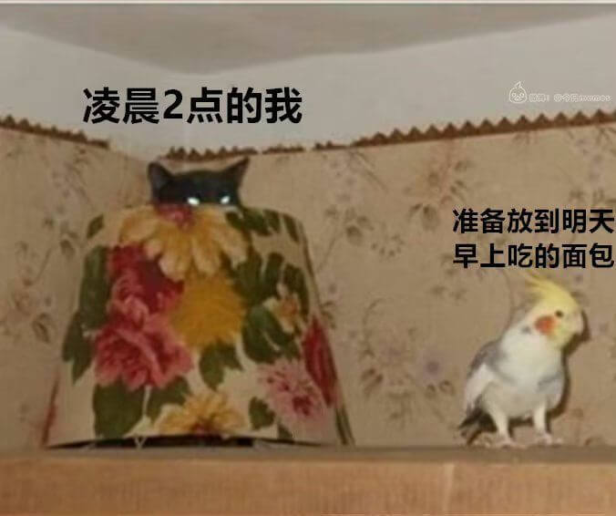 凌晨2点的我准备放到明天早上吃的面包