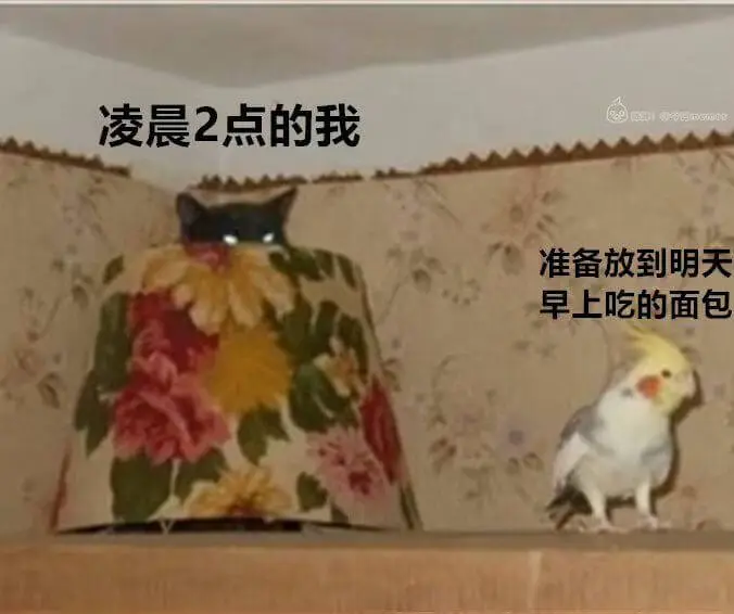 凌晨2点的我准备放到明天早上吃的面包