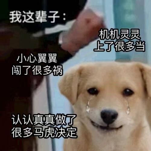 我这辈子：机机灵灵上了很多当小心翼翼闯了很多祸认认真真做了很