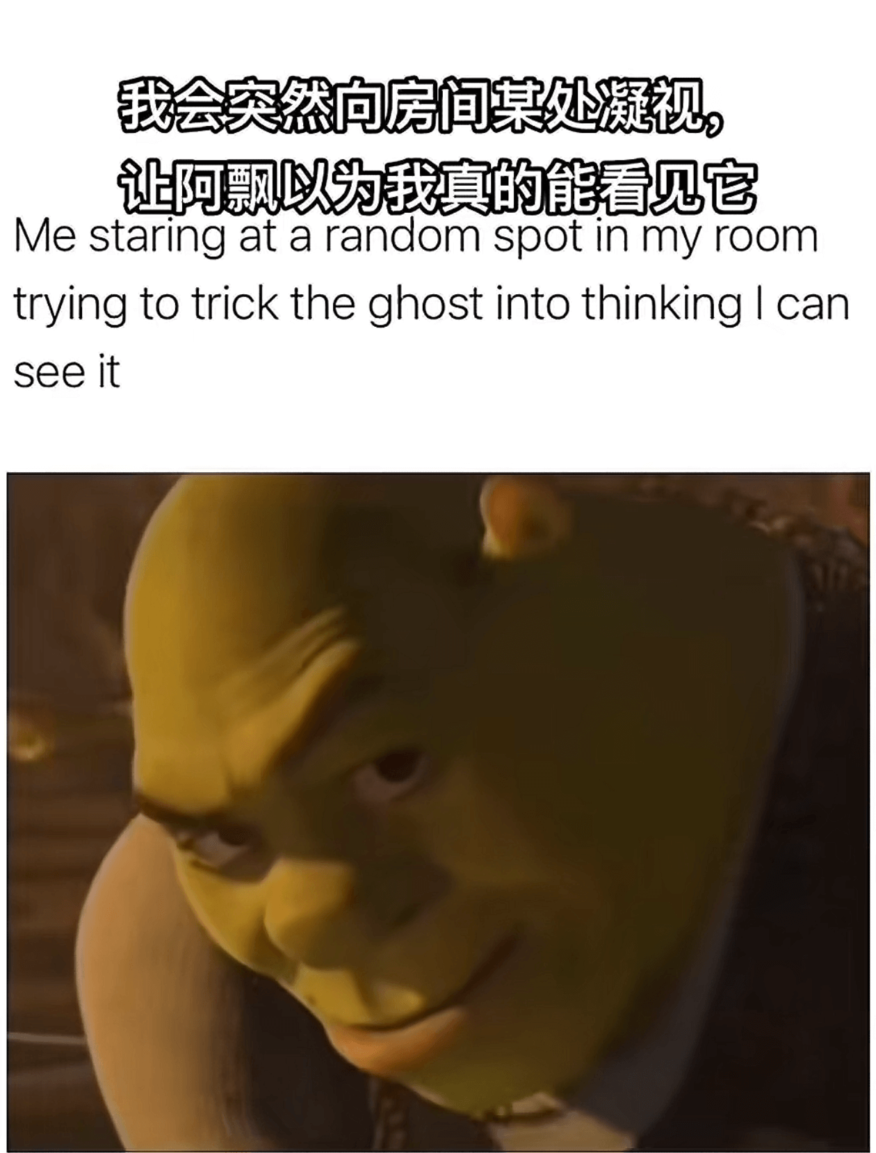 我会突然向房间某处凝视让阿飘以为我真的能看见它Mestari